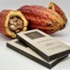 100%_cacaopod